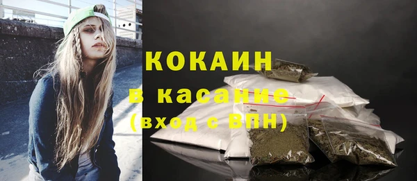 прущие грибы Аркадак