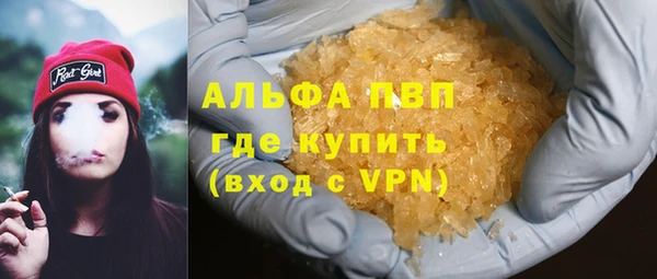 прущие грибы Аркадак
