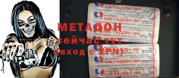 прущие грибы Аркадак