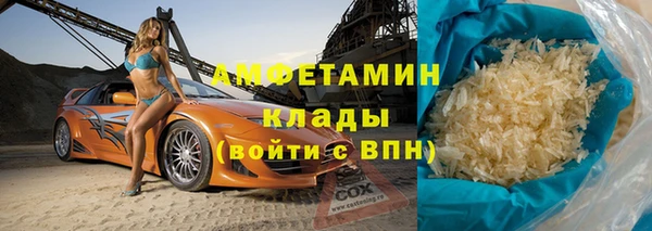 прущие грибы Аркадак